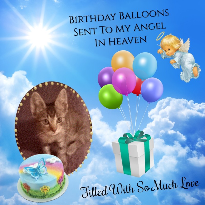 zoza1958 uploaded   4  day/s  ago