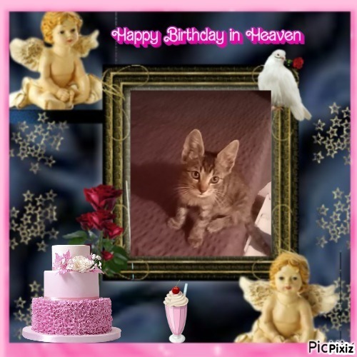 zoza1958 uploaded   4  day/s  ago