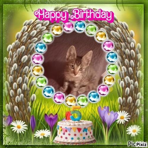 zoza1958 uploaded   4  day/s  ago