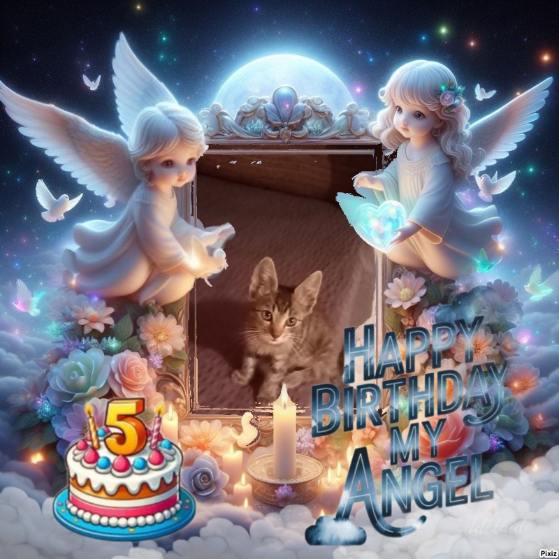 zoza1958 uploaded   3  day/s  ago