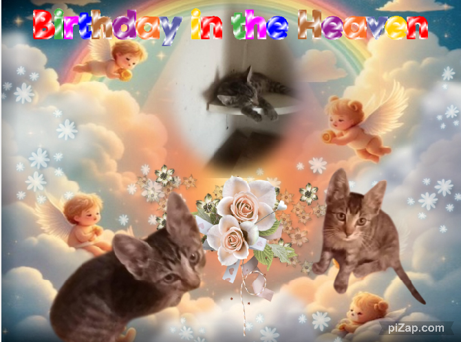 zoza1958 uploaded   4  day/s  ago