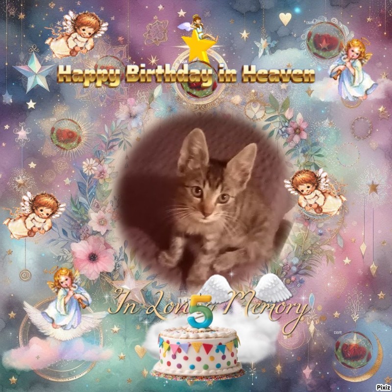 zoza1958 uploaded   3  day/s  ago