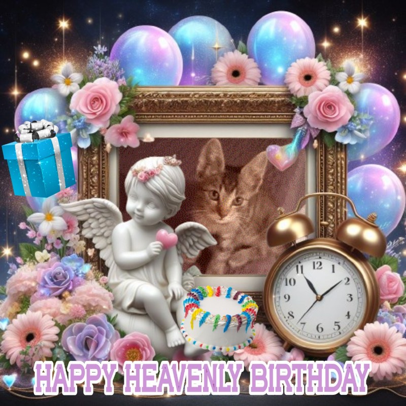 zoza1958 uploaded   4  day/s  ago