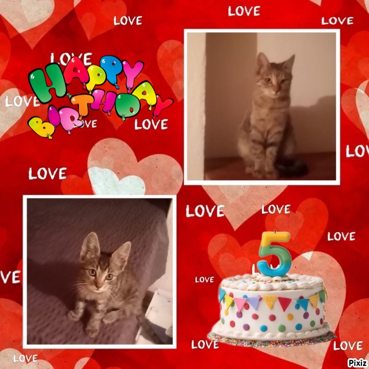 zoza1958 uploaded   4  day/s  ago