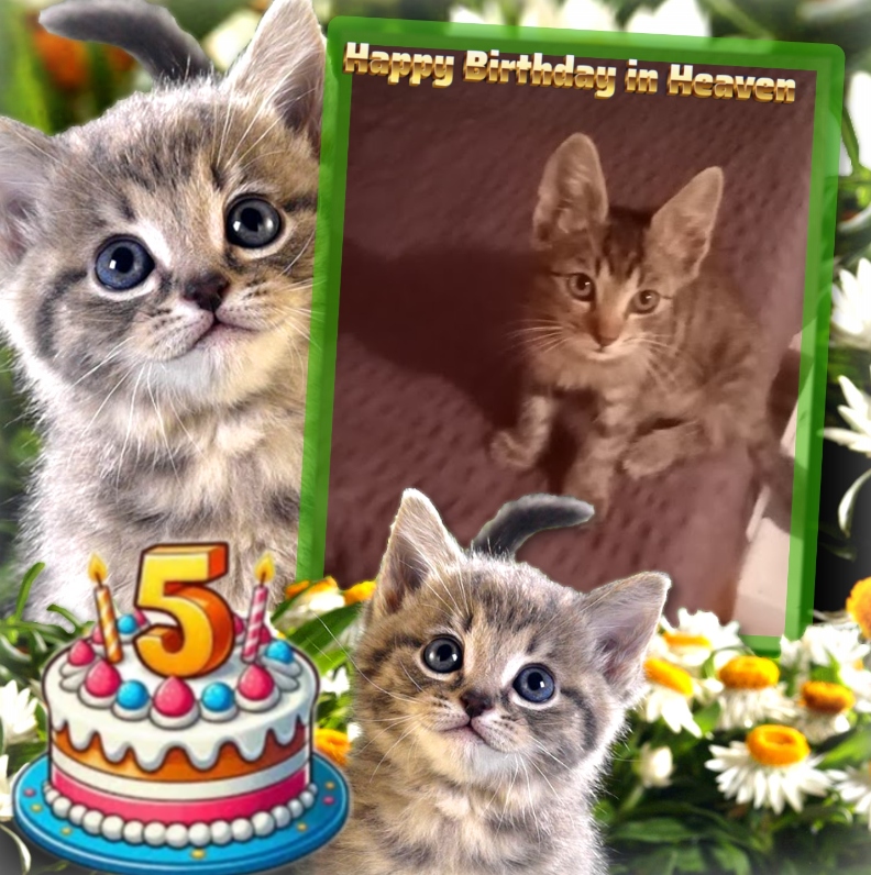 zoza1958 uploaded   4 hour/s ago