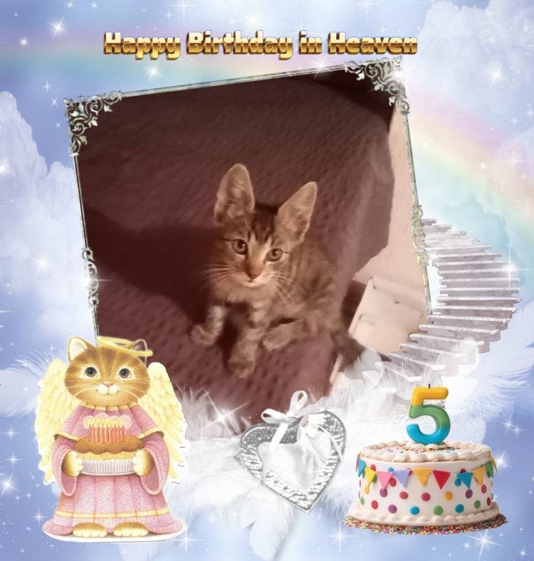 zoza1958 uploaded   4 hour/s ago