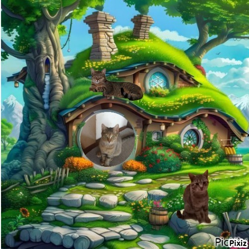 zoza1958 uploaded   1 year/s ago