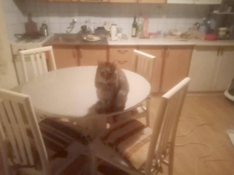 zoza1958 uploaded   1 year/s ago