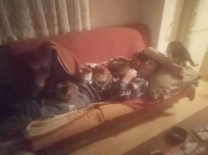 zoza1958 uploaded   1 year/s ago