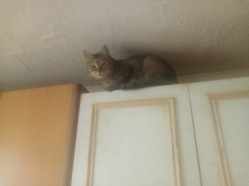 zoza1958 uploaded   337  day/s  ago