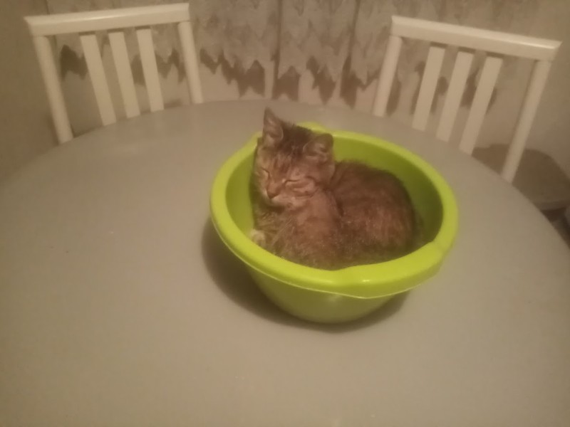 zoza1958 uploaded   1 year/s ago