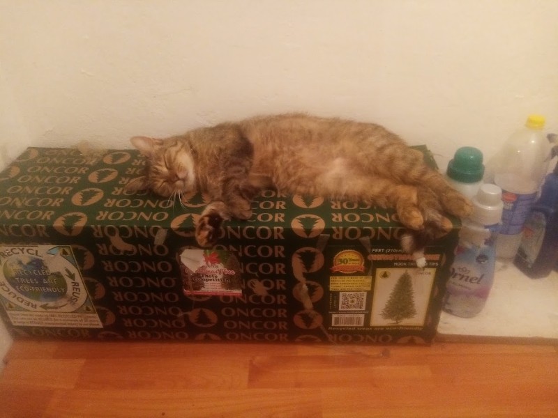 zoza1958 uploaded   323  day/s  ago