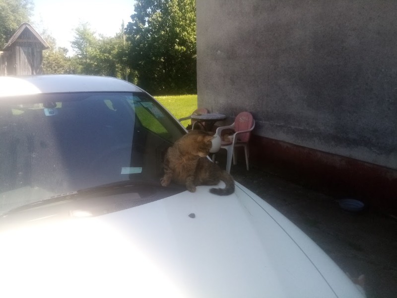 zoza1958 uploaded   343  day/s  ago