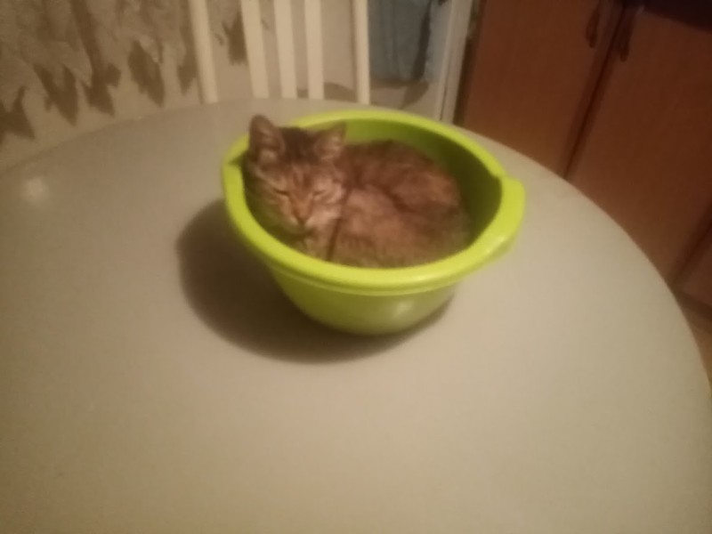 zoza1958 uploaded   1 year/s ago