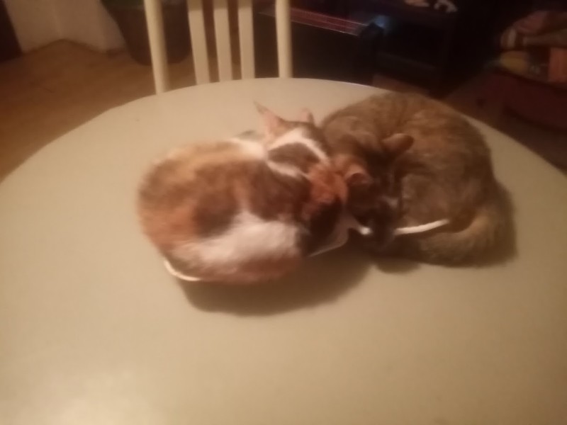 zoza1958 uploaded   1 year/s ago