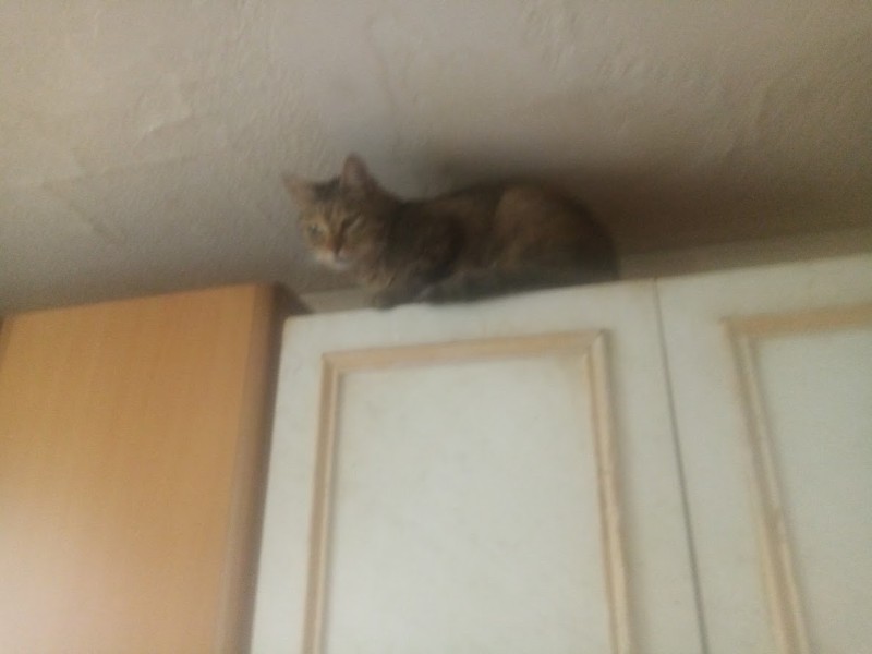 zoza1958 uploaded   337  day/s  ago