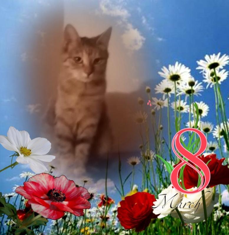 zoza1958 uploaded   46  day/s  ago