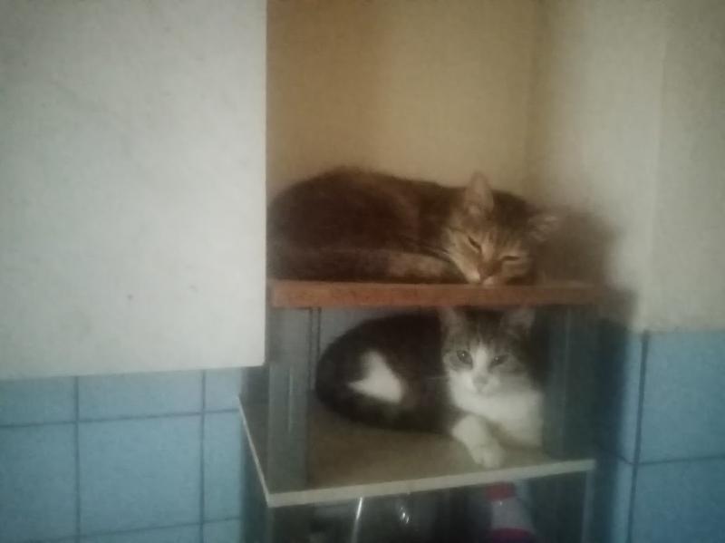 zoza1958 uploaded   3 hour/s ago