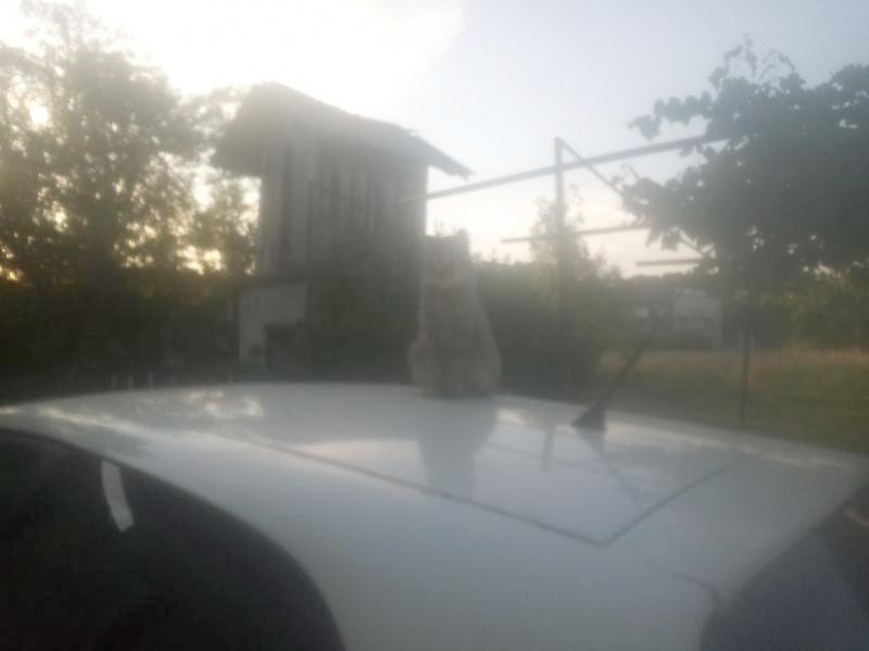 zoza1958 uploaded   300  day/s  ago