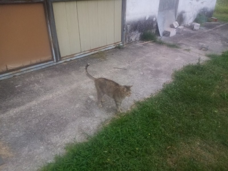 zoza1958 uploaded   287  day/s  ago