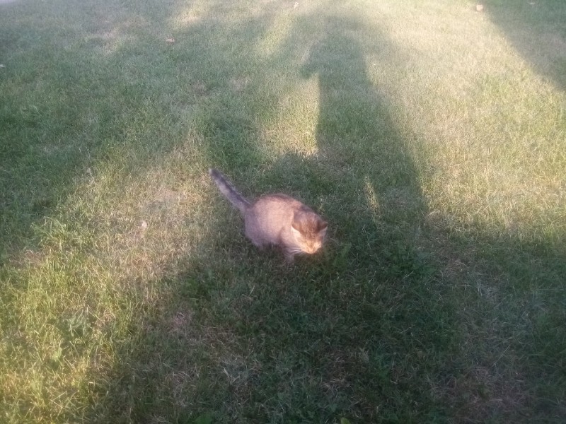 zoza1958 uploaded   236  day/s  ago