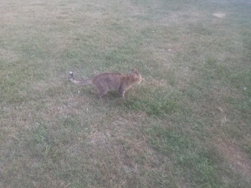 zoza1958 uploaded   252  day/s  ago