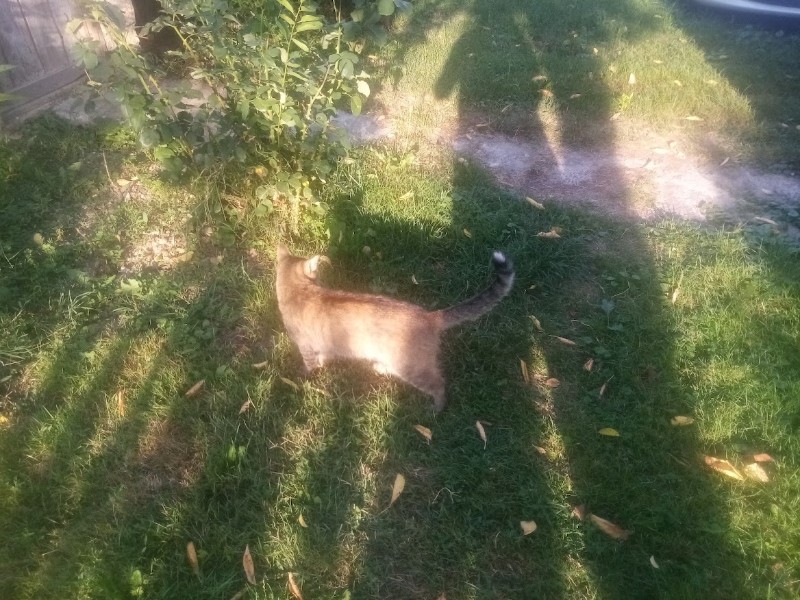 zoza1958 uploaded   236  day/s  ago