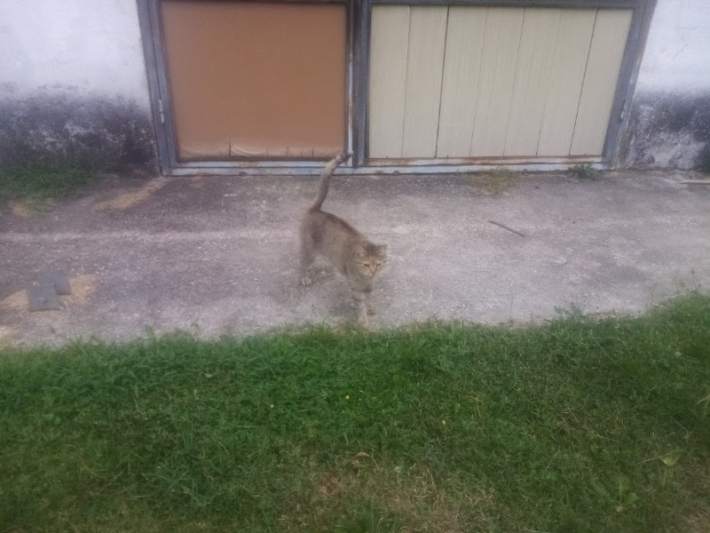 zoza1958 uploaded   287  day/s  ago