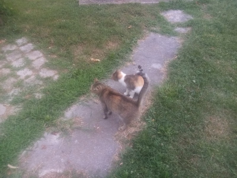 zoza1958 uploaded   287  day/s  ago