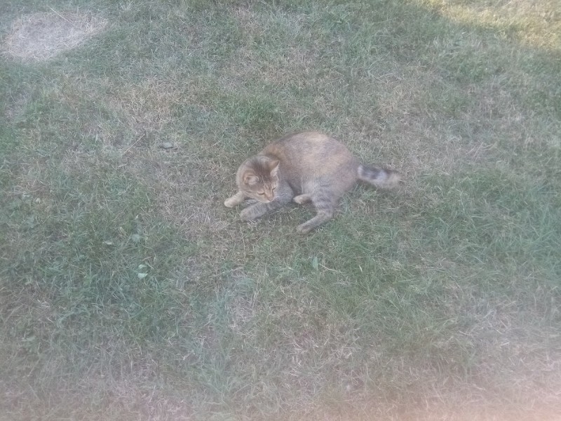 zoza1958 uploaded   252  day/s  ago