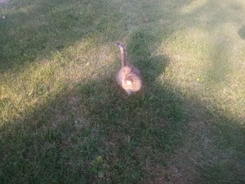 zoza1958 uploaded   236  day/s  ago