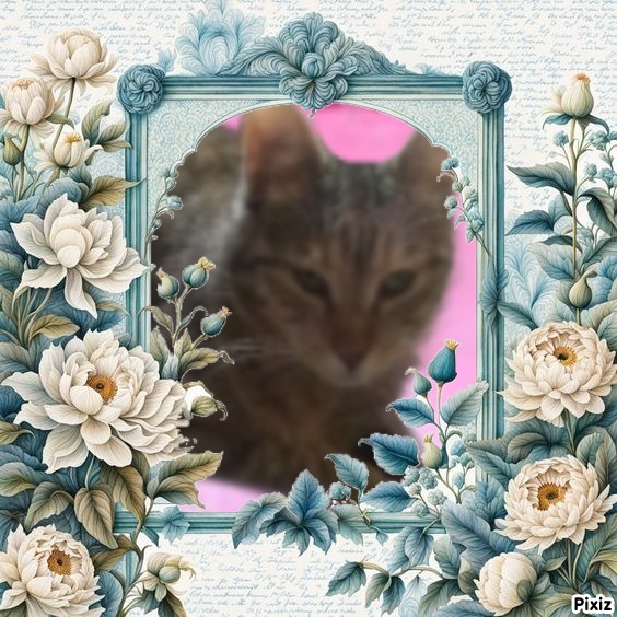 zoza1958 uploaded   31  day/s  ago