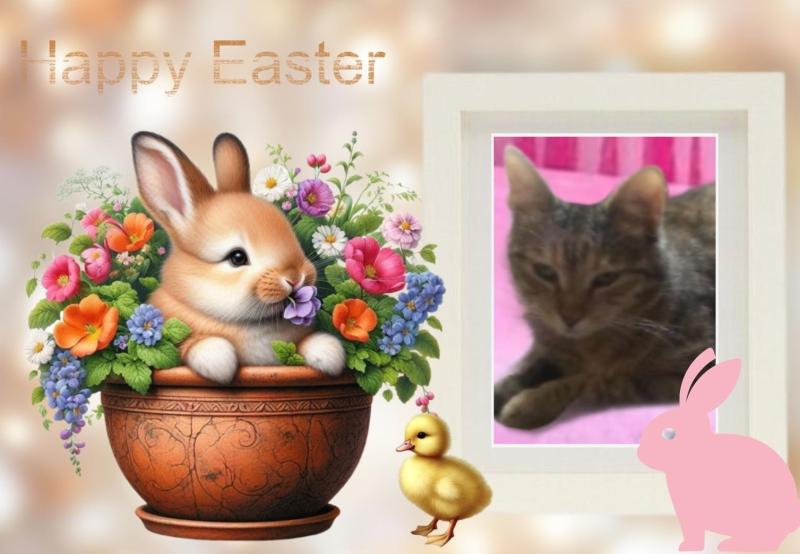 zoza1958 uploaded   1  day/s  ago