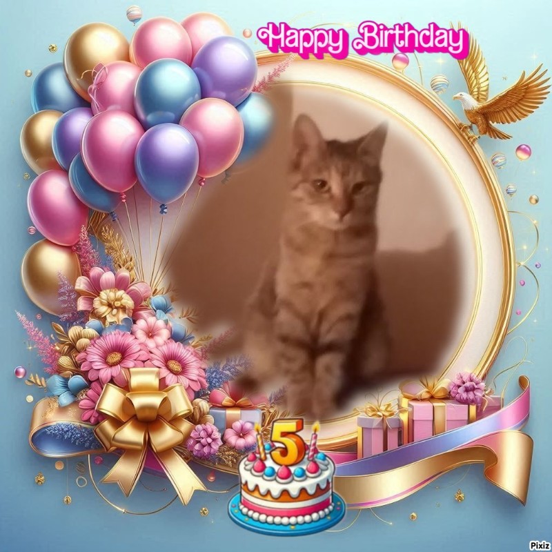 zoza1958 uploaded   4  day/s  ago