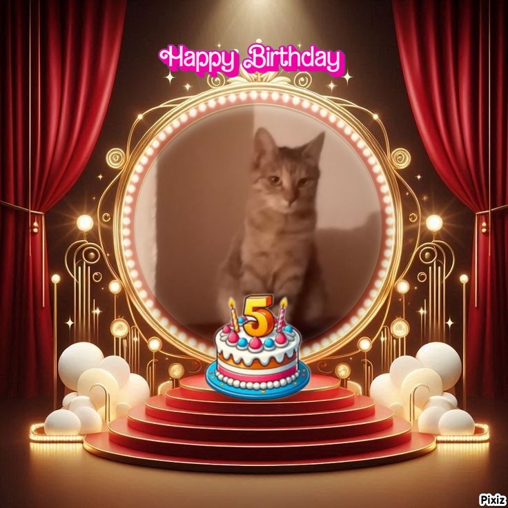 zoza1958 uploaded   4  day/s  ago