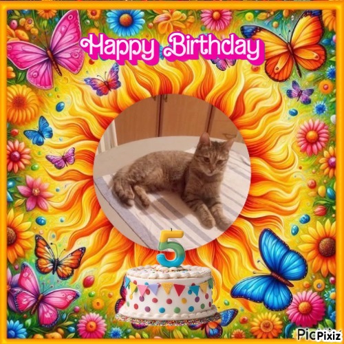 zoza1958 uploaded   3  day/s  ago