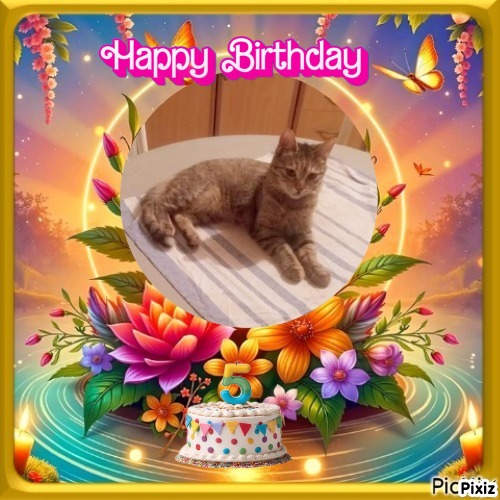 zoza1958 uploaded   3  day/s  ago