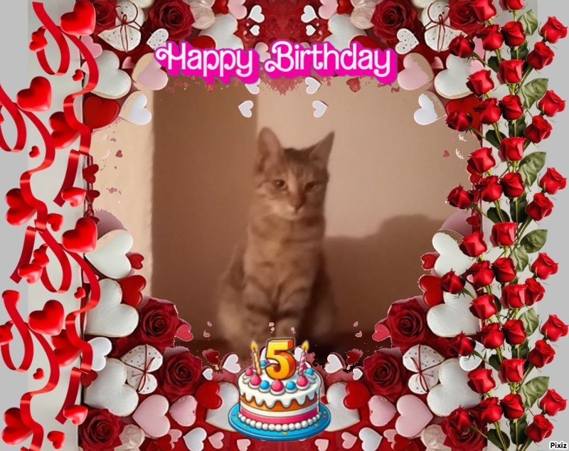 zoza1958 uploaded   4  day/s  ago