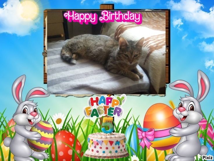 zoza1958 uploaded   3  day/s  ago