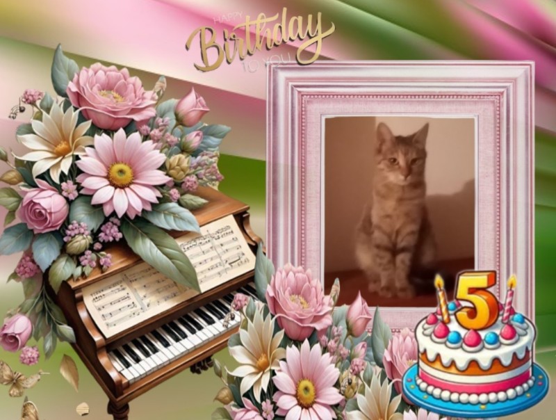 zoza1958 uploaded   4 hour/s ago