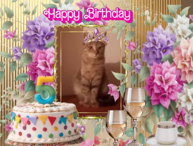 zoza1958 uploaded   4 hour/s ago