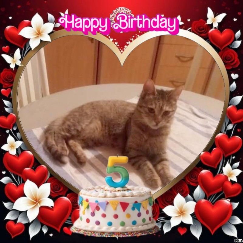 zoza1958 uploaded   3  day/s  ago