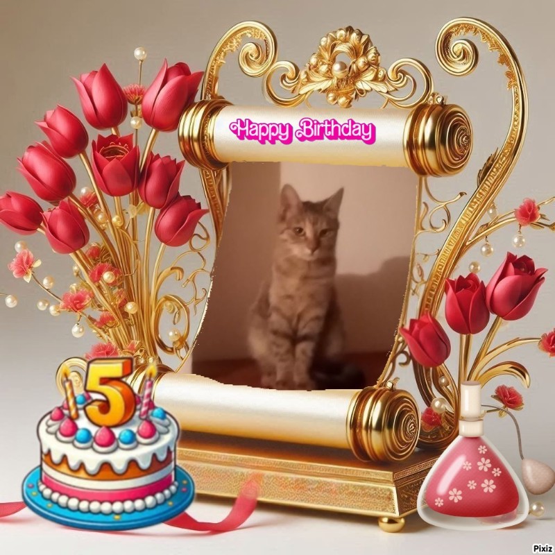 Princess  Viki of the zoza1958 family