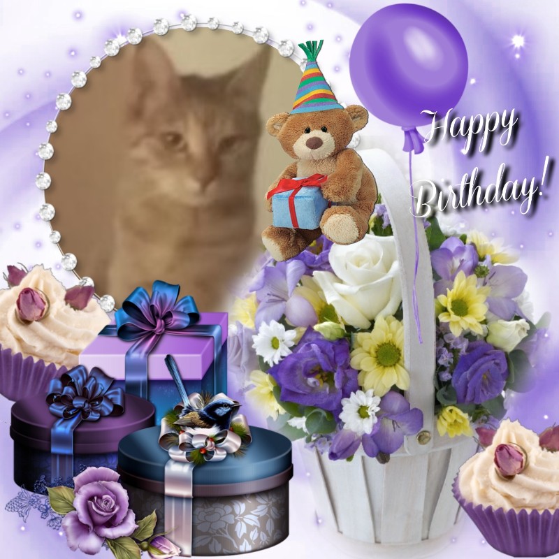 zoza1958 uploaded   4  day/s  ago