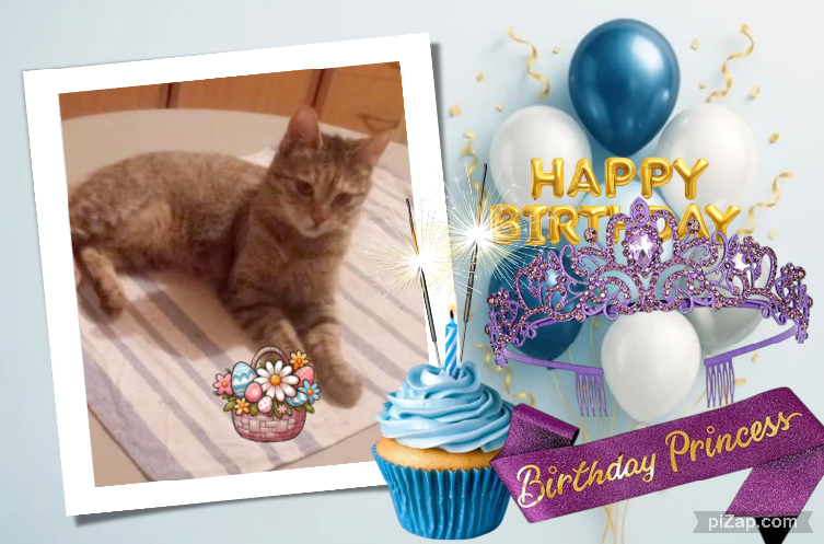 zoza1958 uploaded   4  day/s  ago