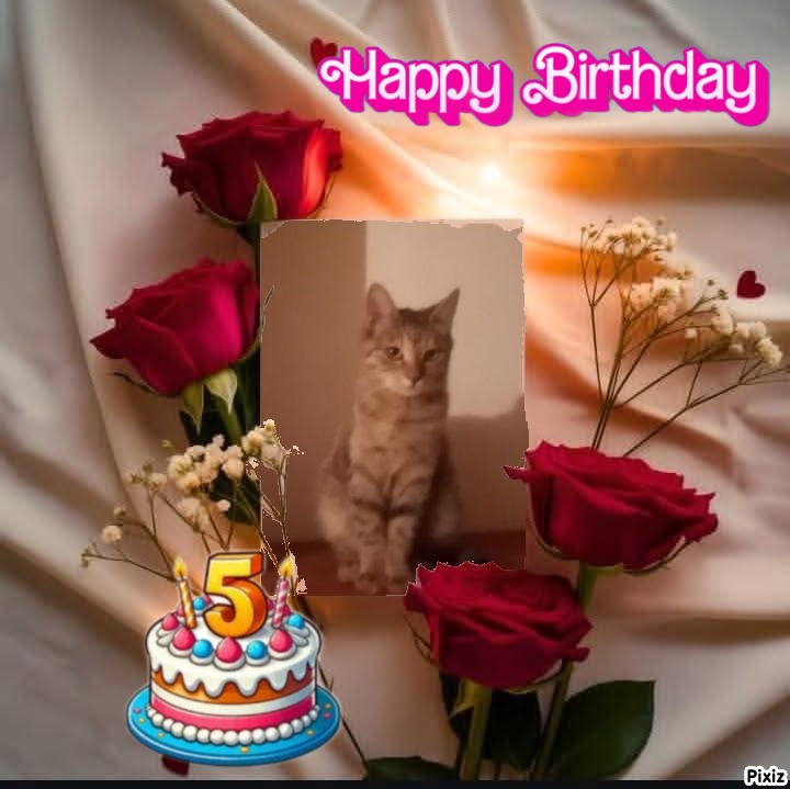 zoza1958 uploaded   3  day/s  ago