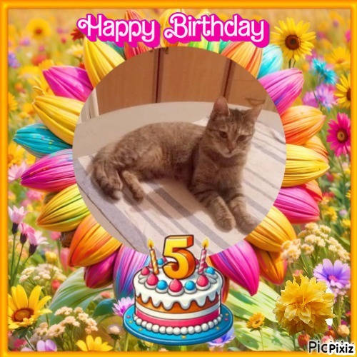 zoza1958 uploaded   3  day/s  ago