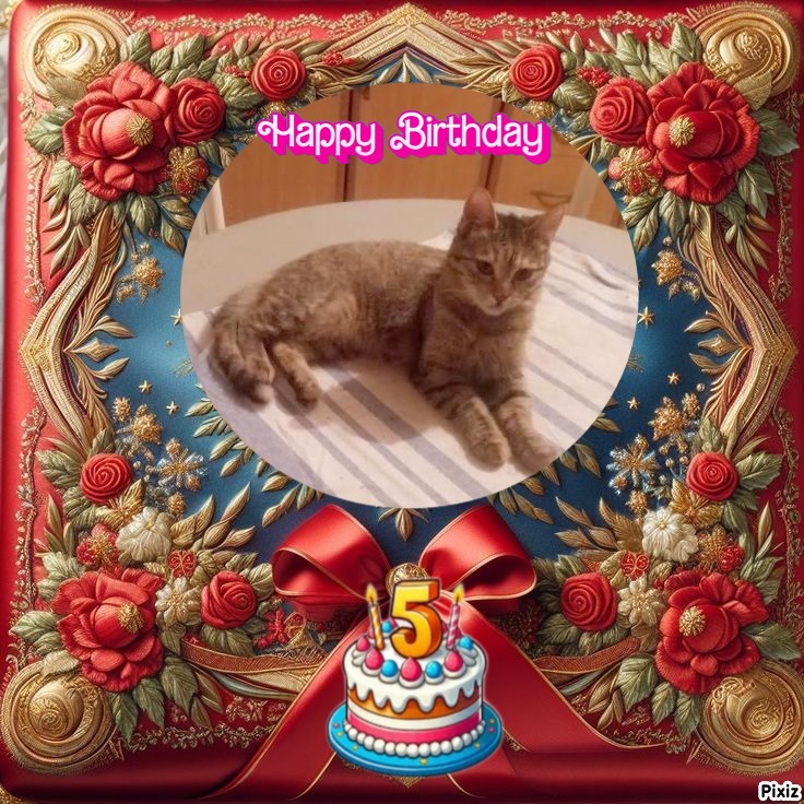 zoza1958 uploaded   3  day/s  ago