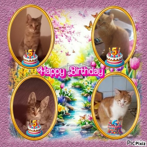 zoza1958 uploaded   3  day/s  ago