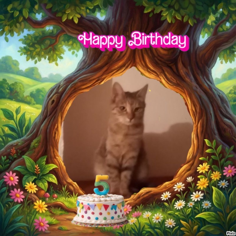 Princess  Viki of the zoza1958 family